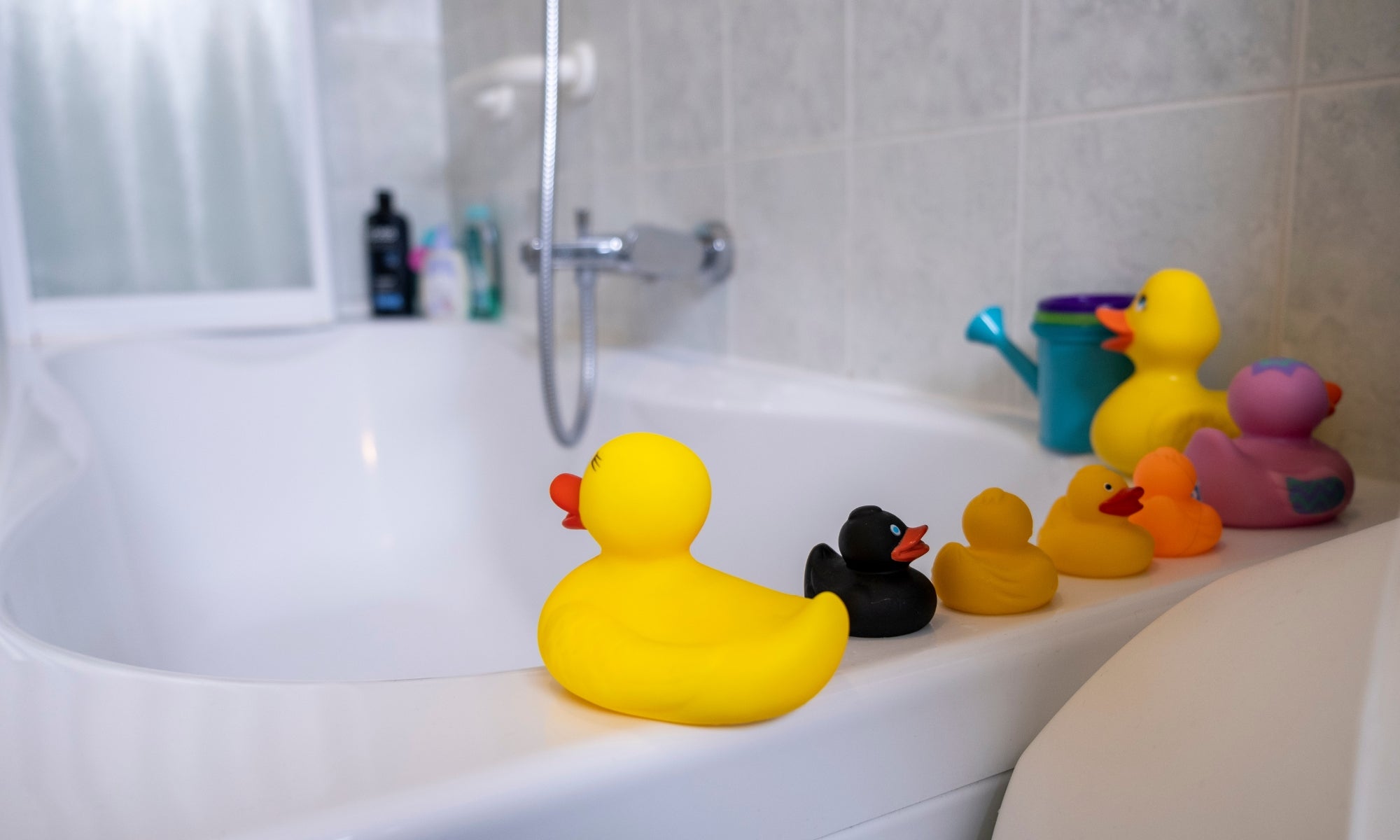 Jouets de bain