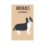 Ma Petite bibliothèque 8 livres inclus - J'apprends l'anglais