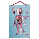 Jeu éducatif science et géographie - Body Magnet L'Anatomie/12 langues inclus